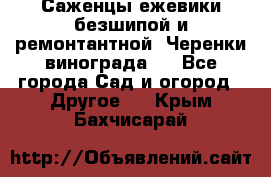 Саженцы ежевики безшипой и ремонтантной. Черенки винограда . - Все города Сад и огород » Другое   . Крым,Бахчисарай